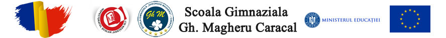 Scoala Gimnaziala Gh. Magheru Caracal